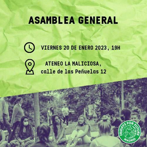 Asamblea FFF Madrid