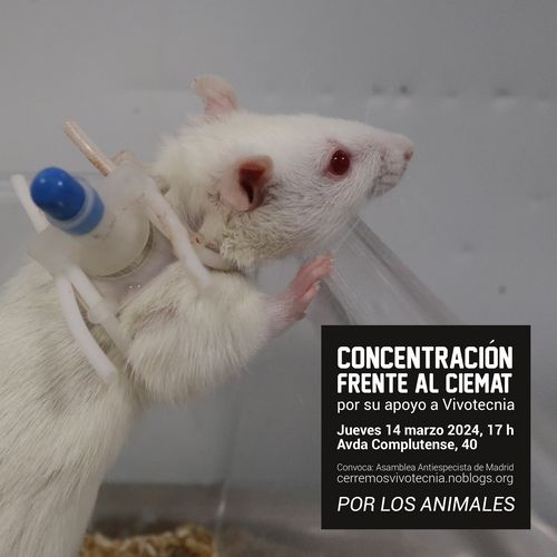 Concentración  frente al CIEMAT por su apoyo a Vivotecnia