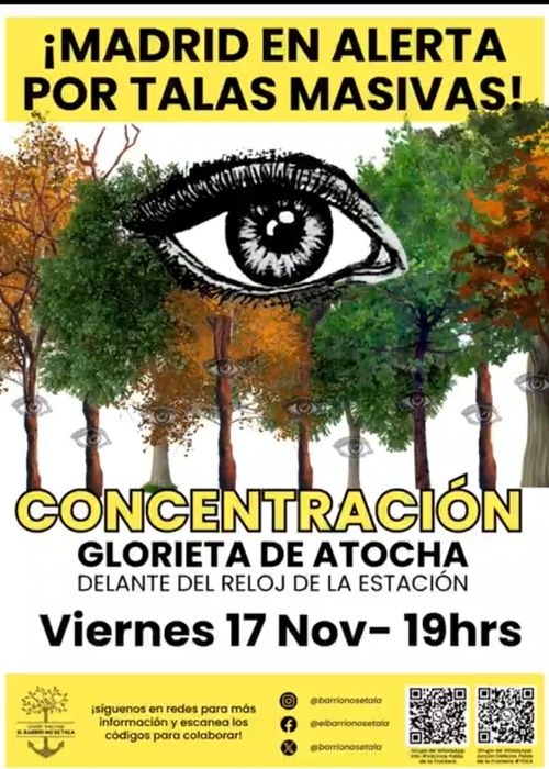 No a la tala 
