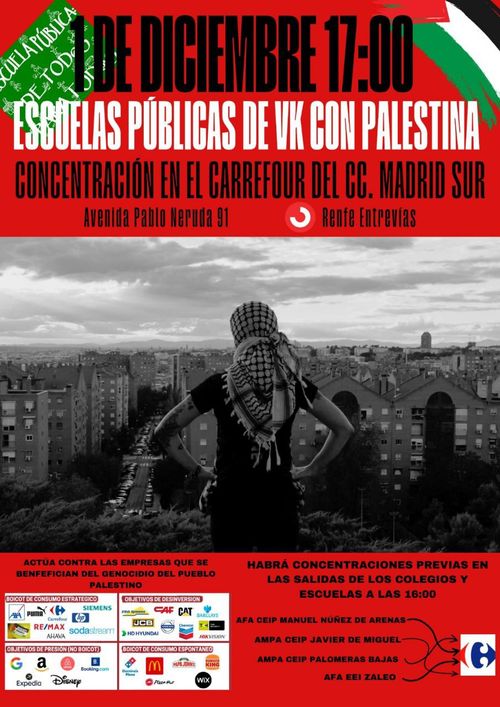 Concentración de escuelas públicas de VK con palestina