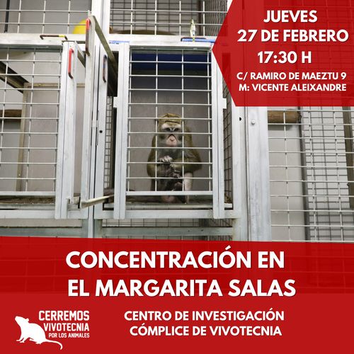 Fotografía de un macaco en el interior de una jaula en Vivotecnia con el texto: Concentración en Margarita Salas. Cómplice de Vivotecnia
A la izquierda el logo de la campaña Cerremos Vivotecnia Por Los Animales, con la silueta blanca de una rata