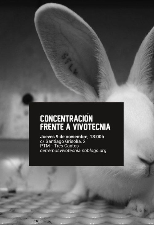 Concentración frente a Vivotecnia