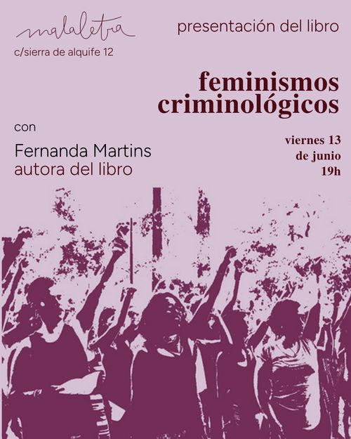 feminismos criminológicos