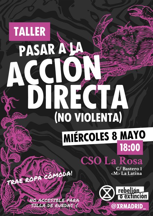 Taller: Pasar a la acción directa (noviolenta)