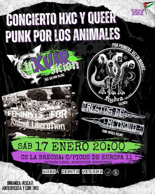 Concierto HxC y QueerPunk