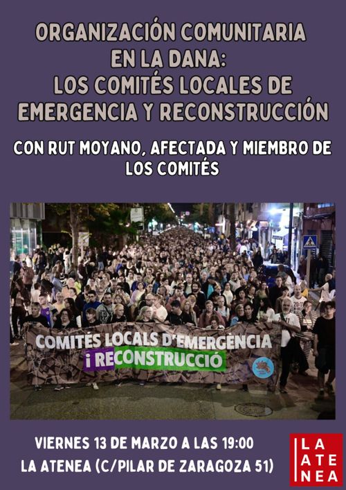Organización comunitaria en la Dana: los Comités de emergencia y reconstrucción 