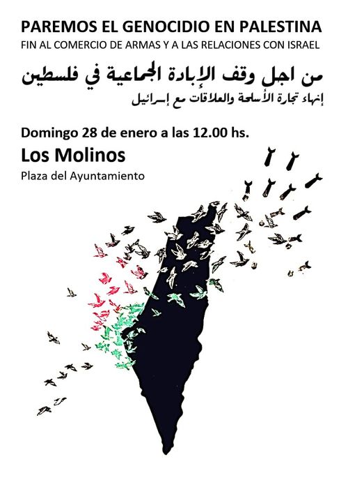 Concentración: Paremos el genocidio el Palestina